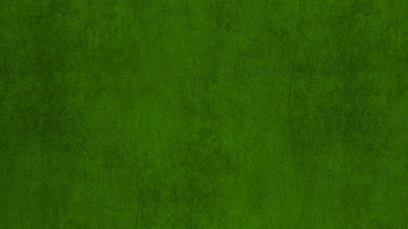 Uploaded
wallpaper