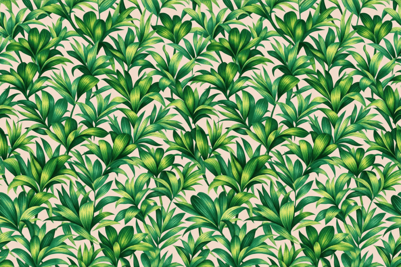 Uploaded
wallpaper