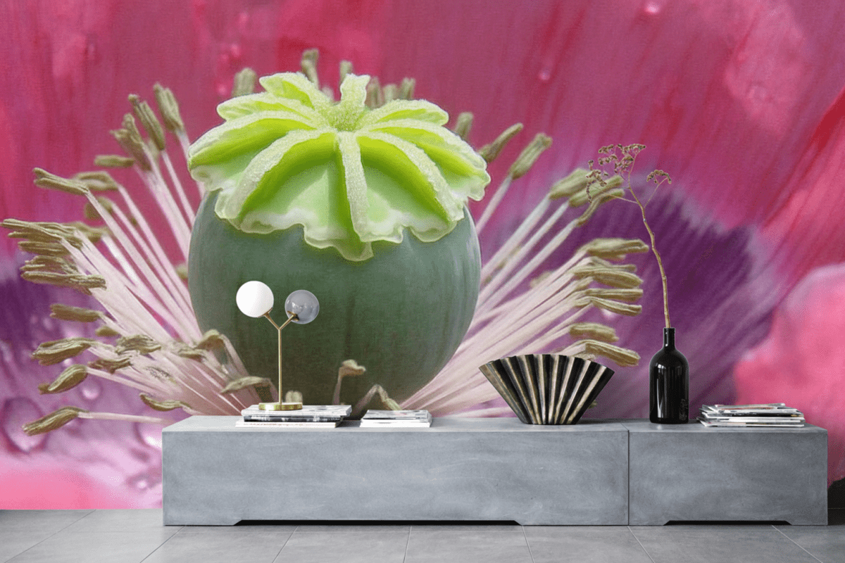 Botanical Echo
