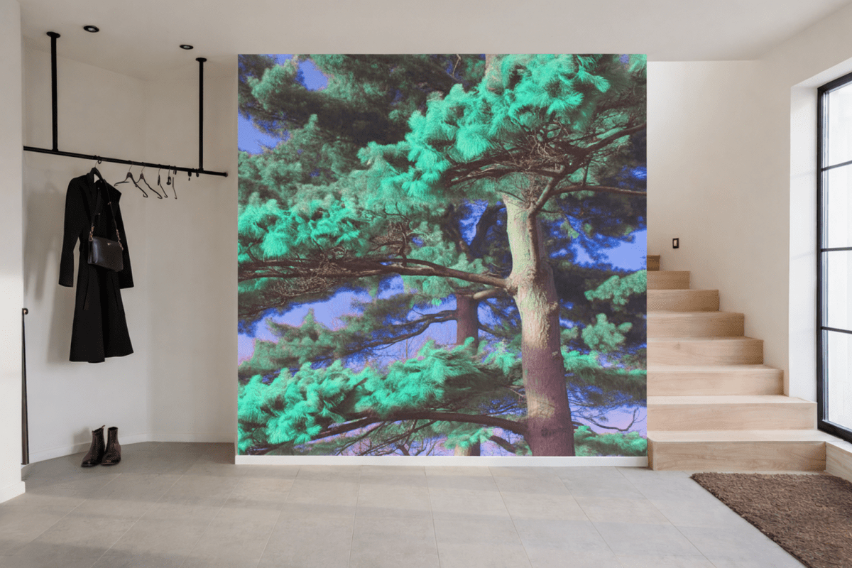 Emerald Canopy