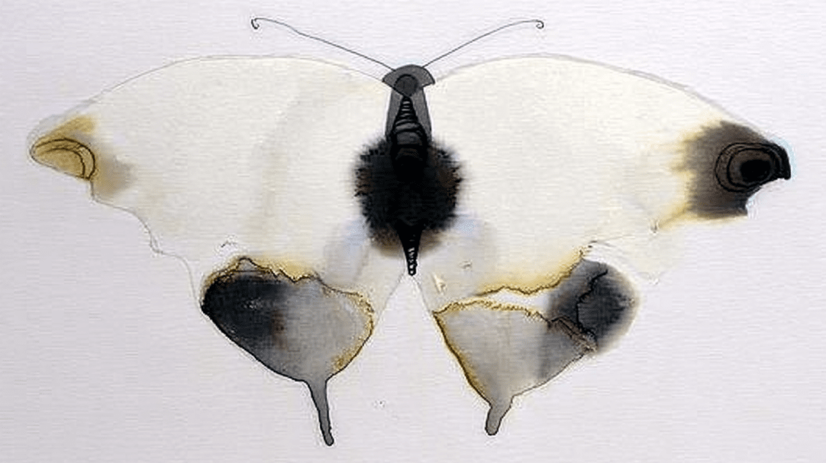 Ombre Lepidoptera