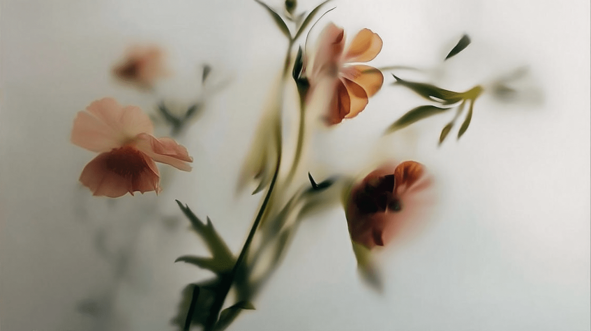 Faded Blossom Haze