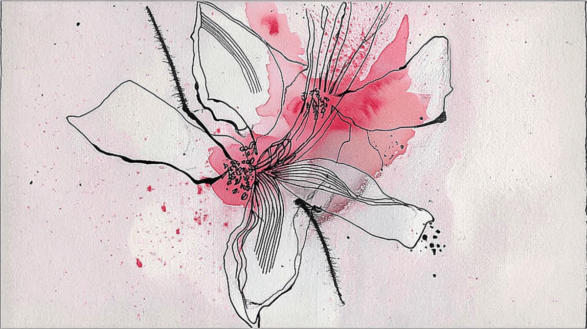 Blush Petals