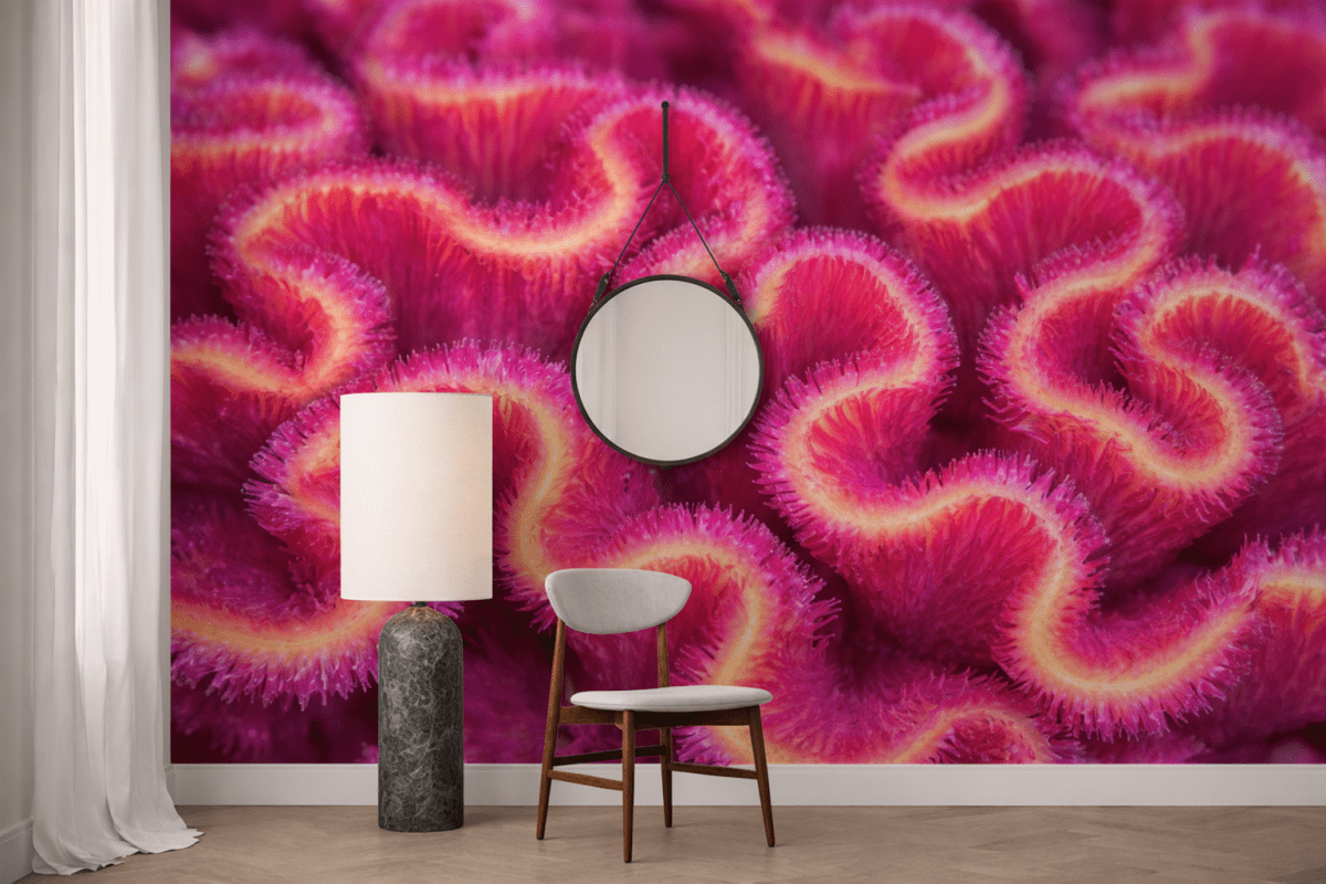 Coral Labyrinth