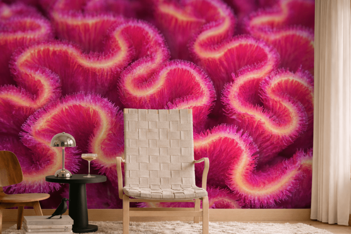 Coral Labyrinth