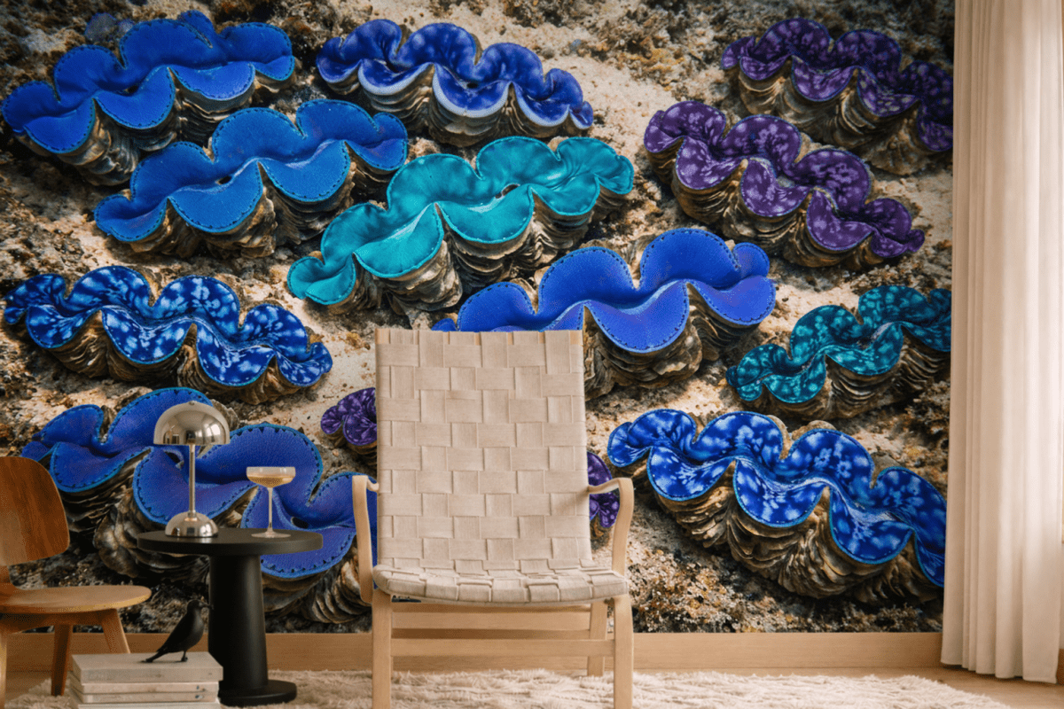 Luminous Clam Shells