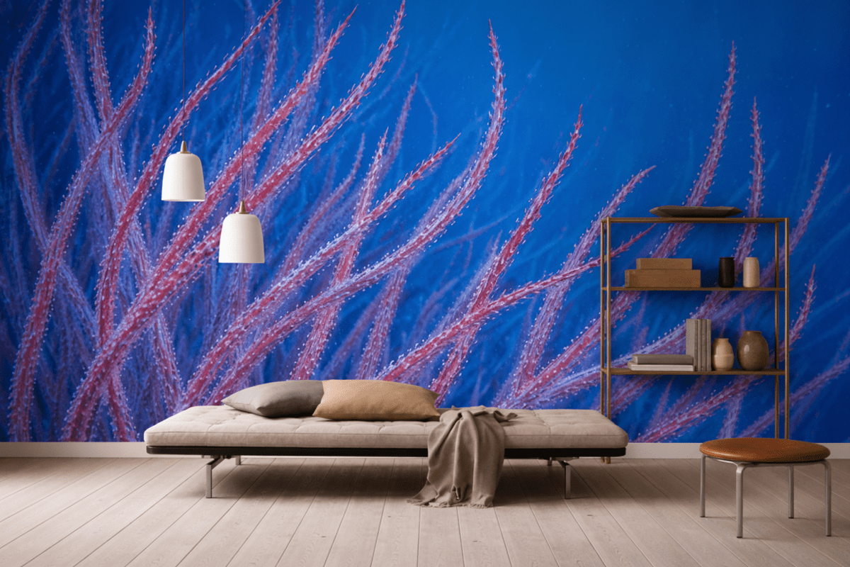 Coral Garden