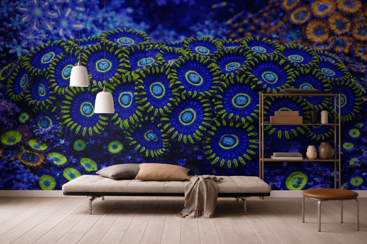 Cyclic Nautilus Veil