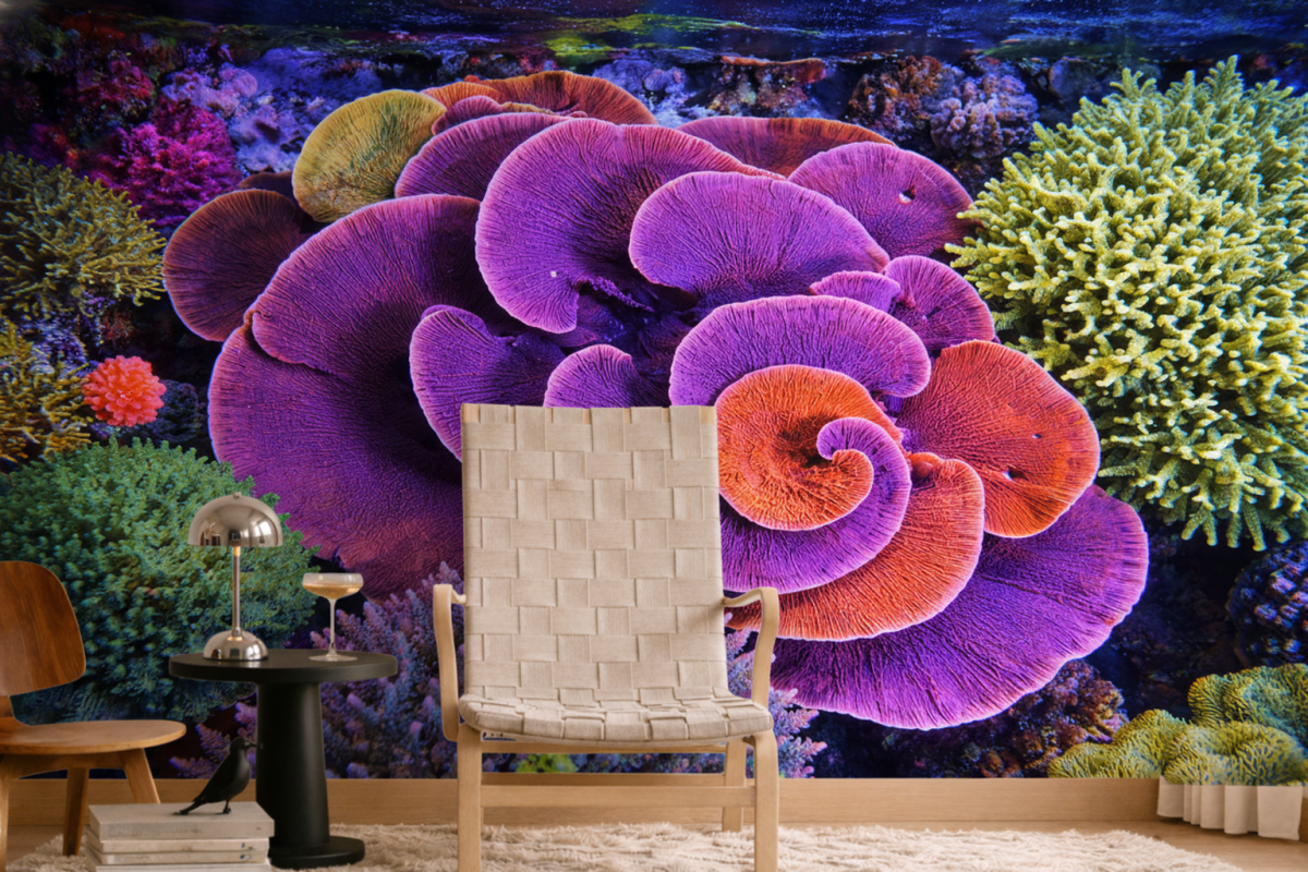 Spiral Reef Dance