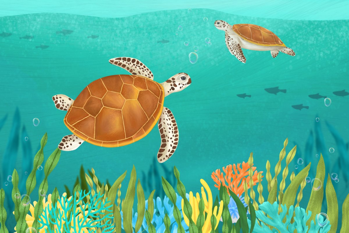 Lagoon Turtlescape