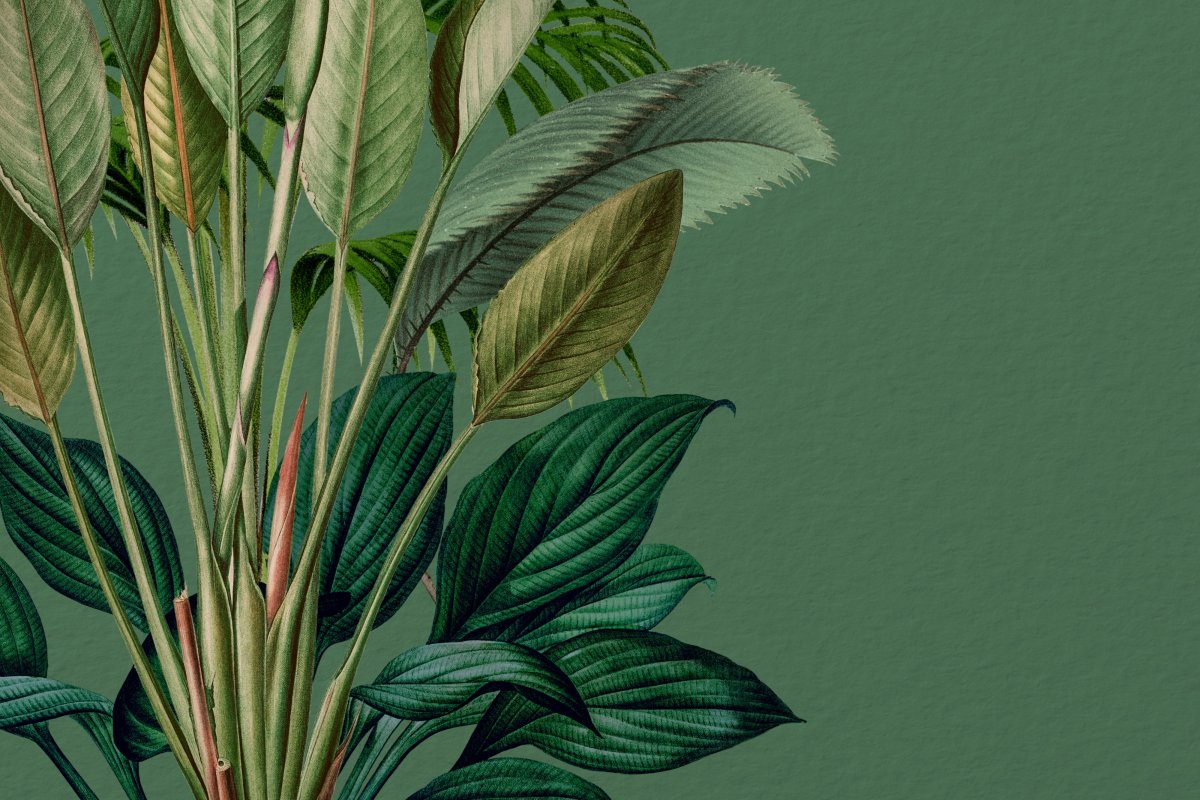 Verdant Tapestry