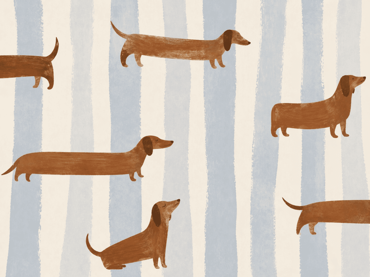 Linear Canine Parade