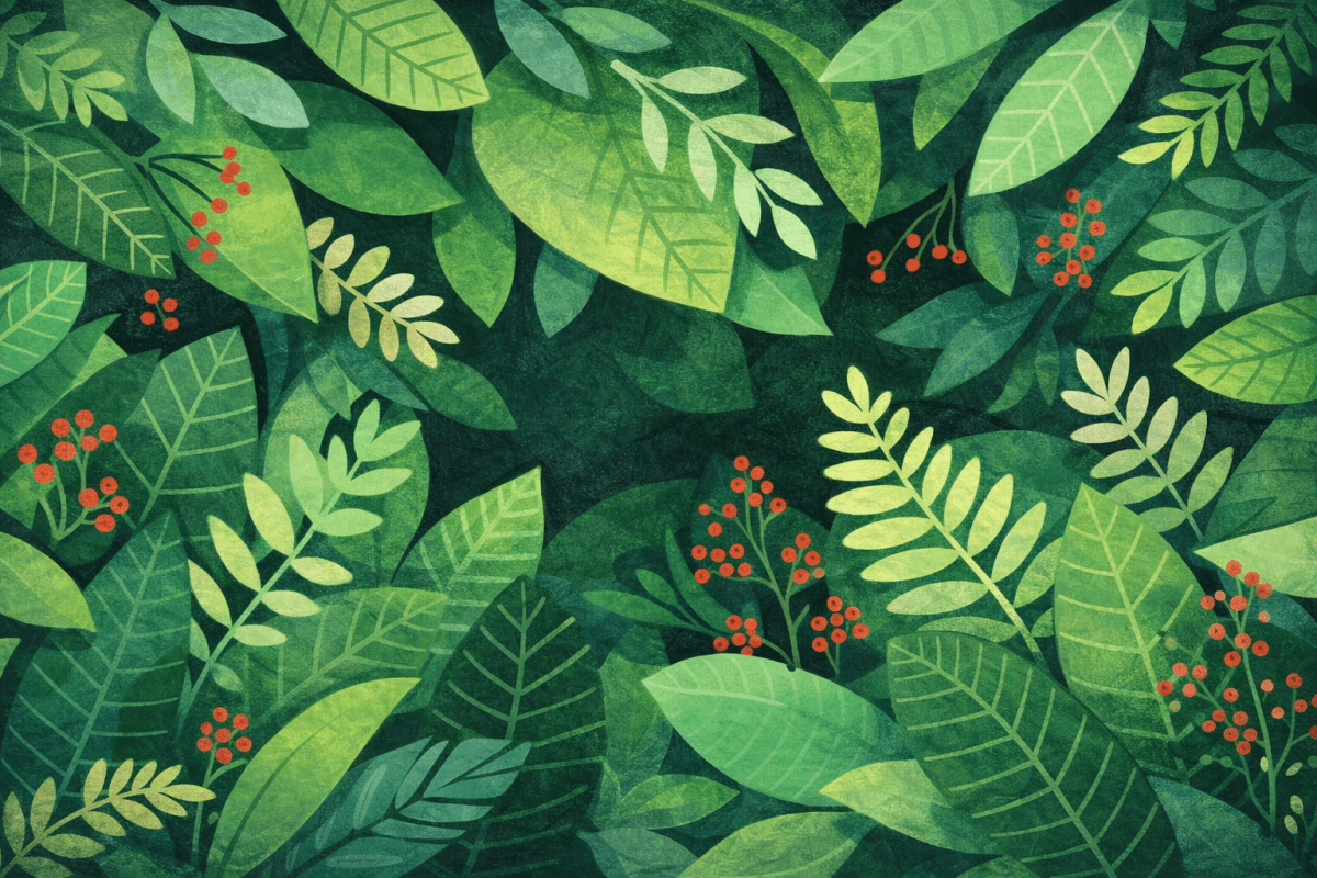 Fern Network