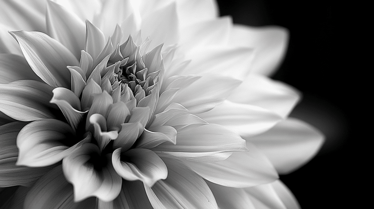 Floral Geometry