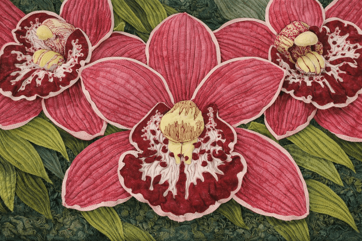 Velvet Orchid Blooms