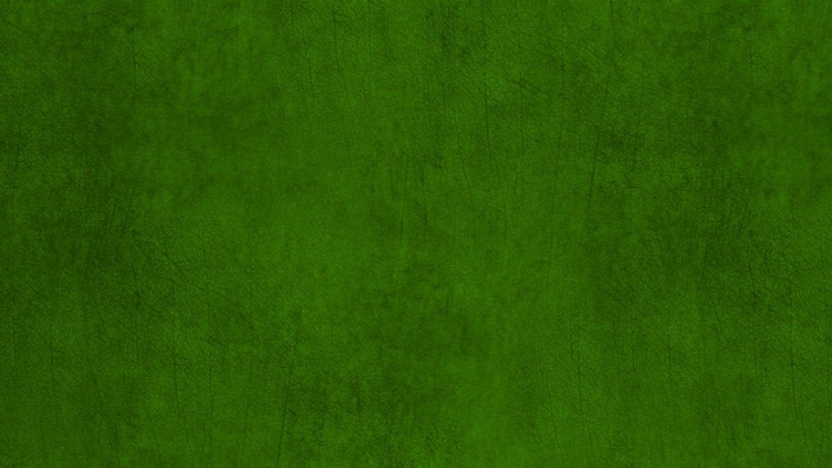Velvet Verdure