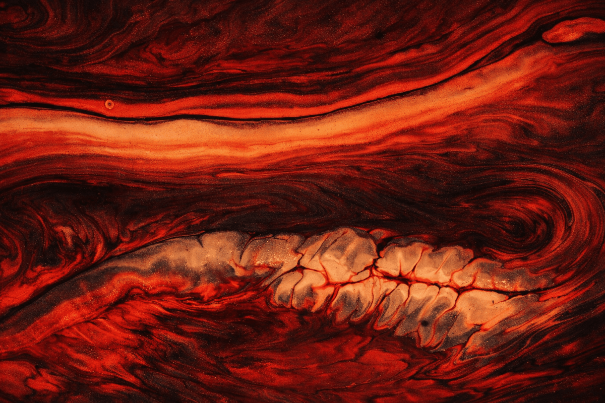 Crimson Kelp Swirl