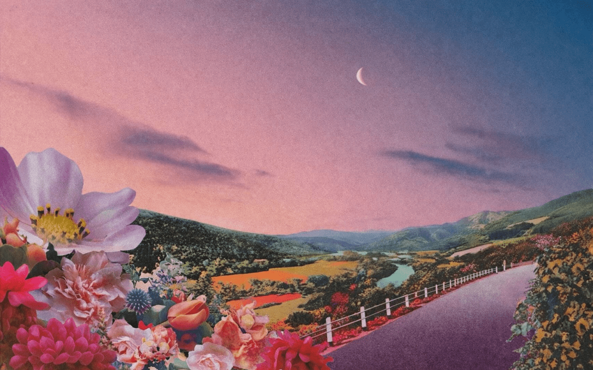Moonlit Meadow