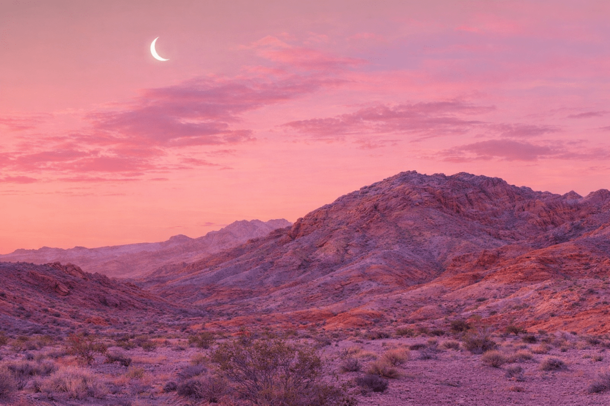 Lavender Mirage