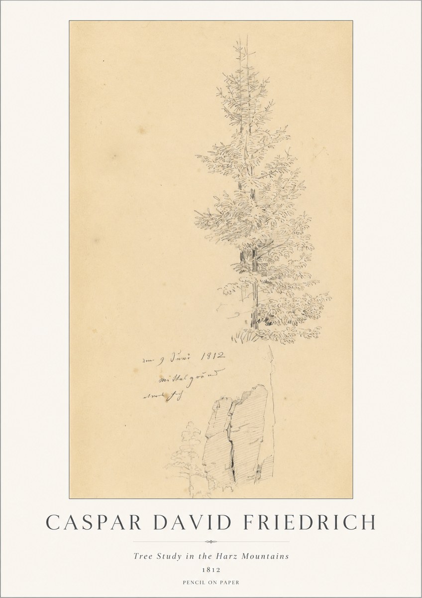 Caspar David Friedrich Tree Study in the Harz Mountains No1 - Poszter