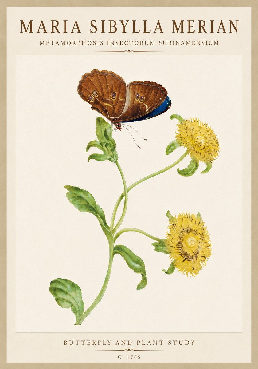 Maria Sibylla Merian Butterfly and Plant Study No6 - Poszter