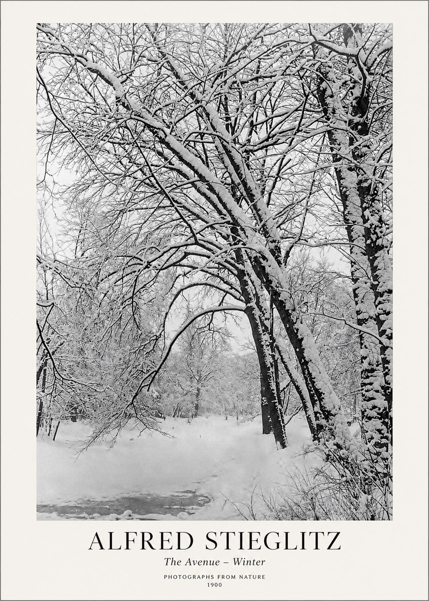 Alfred Stieglitz The Avenue – Winter No1 - Poszter