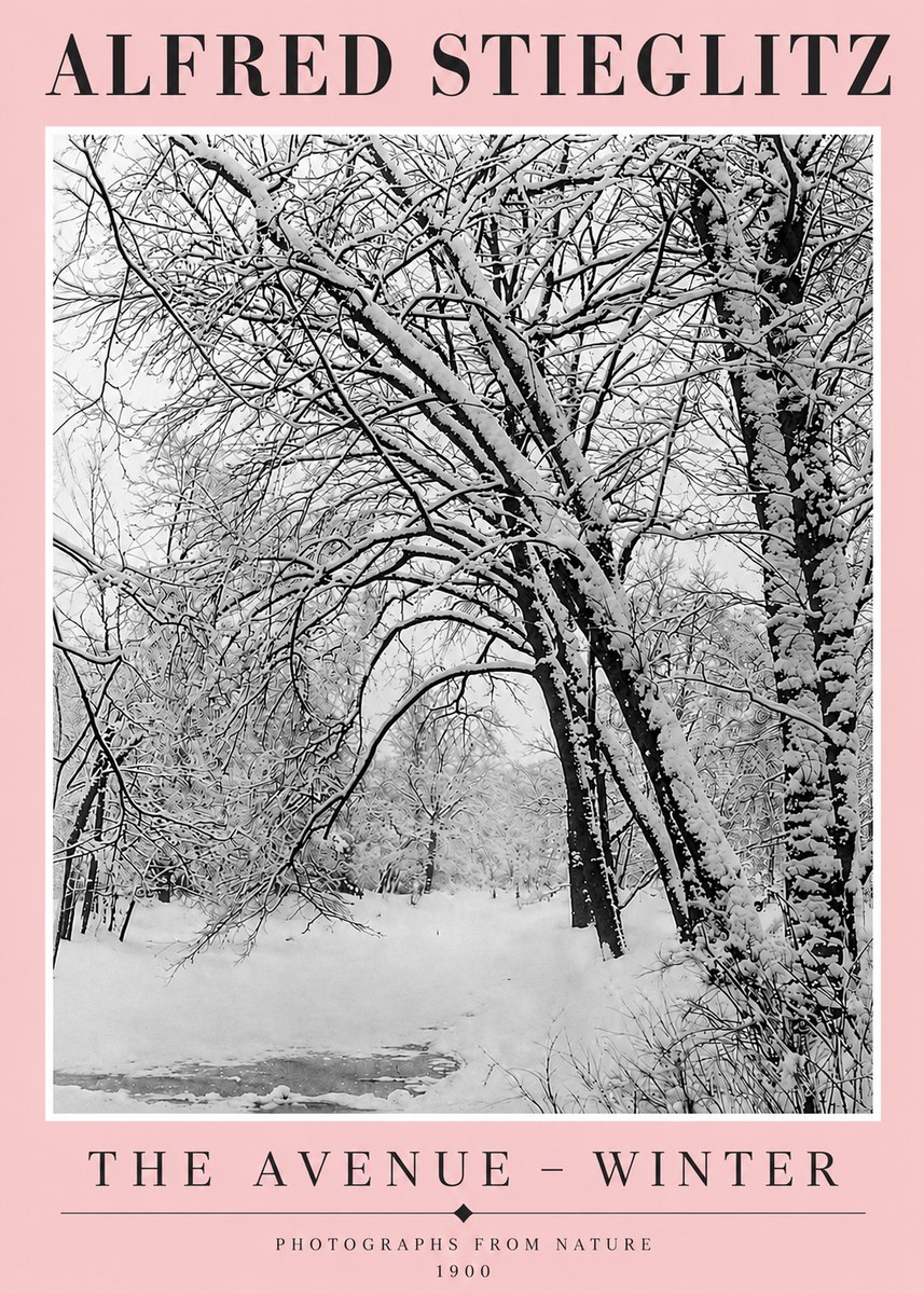 Alfred Stieglitz The Avenue – Winter No4 - Poszter