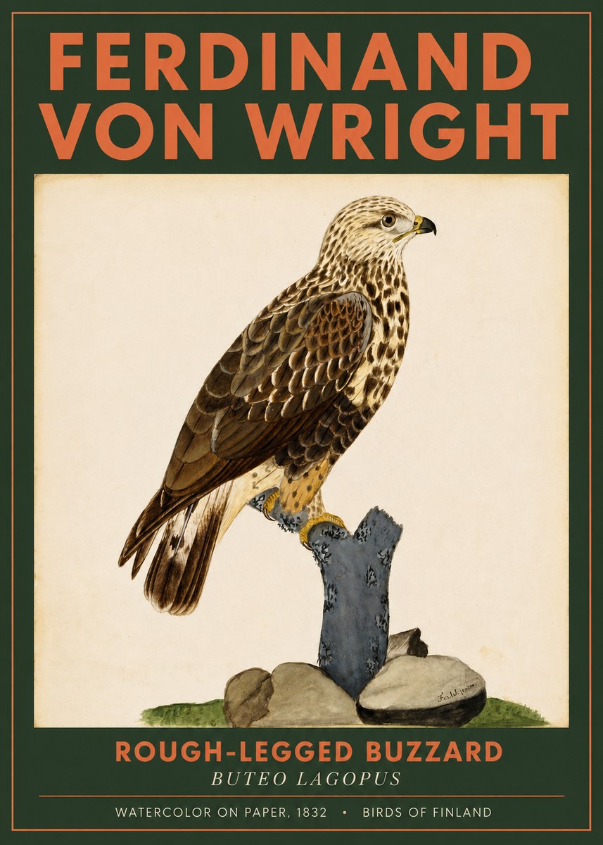 Ferdinand von Wright Rough-legged Buzzard No2 - Poszter