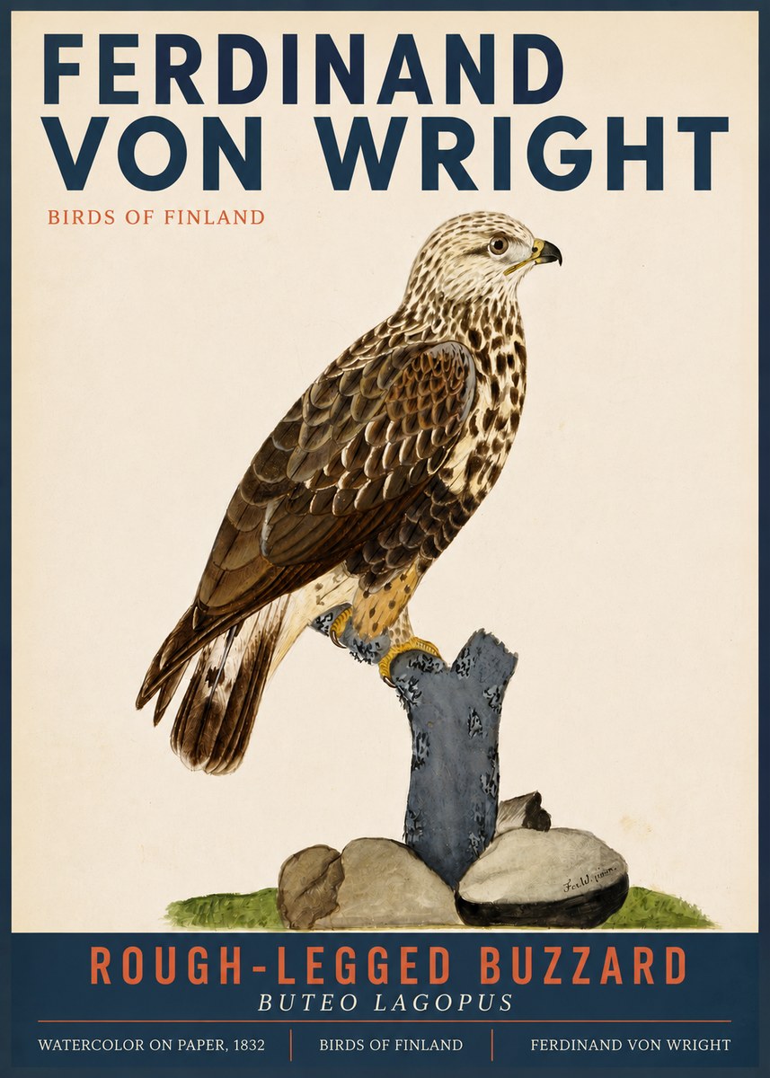 Ferdinand von Wright Rough-legged Buzzard No3 - Poszter