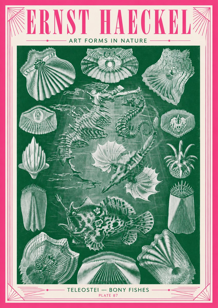 Ernst Haeckel Teleostei - Bony Fishes No3 - Poszter