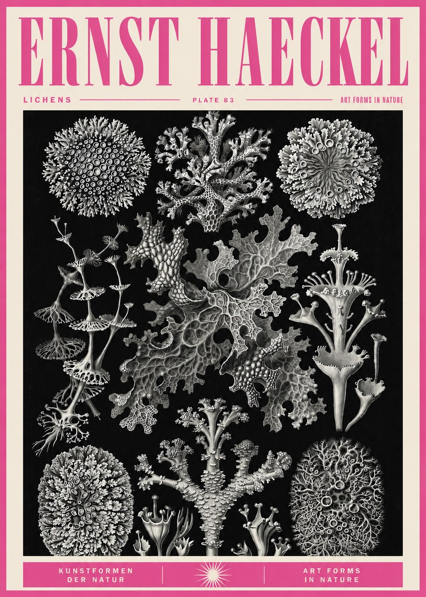 Ernst Haeckel Lichens - Plate 83 No5 - Poszter