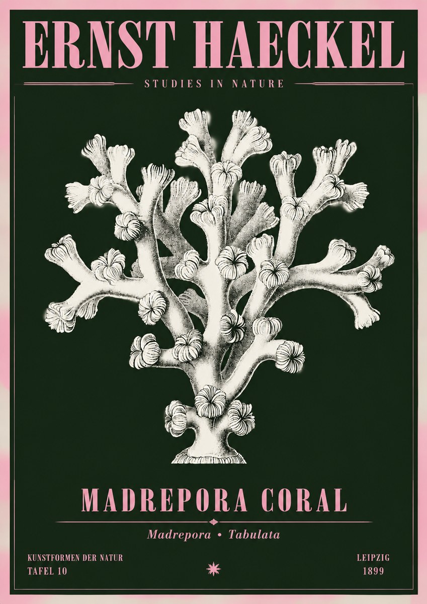 Ernst Haeckel Corallium Rubrum I No5 - Poszter