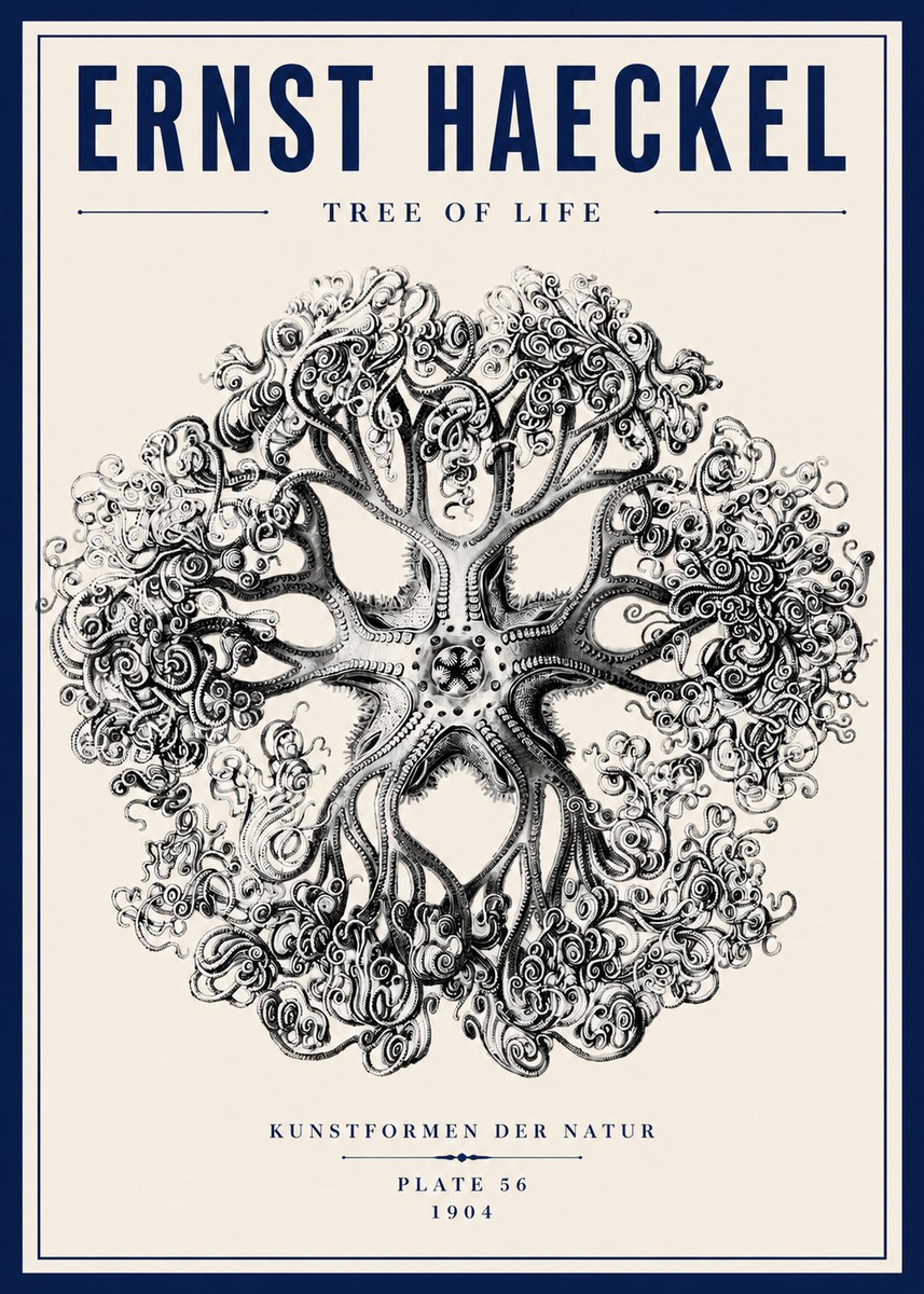 Ernst Haeckel Tree-like Organism No6 - Poszter