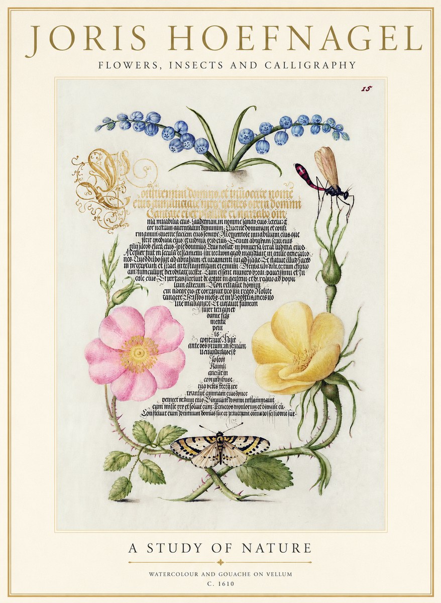 Joris Hoefnagel A Study of Nature I No1 - Poszter