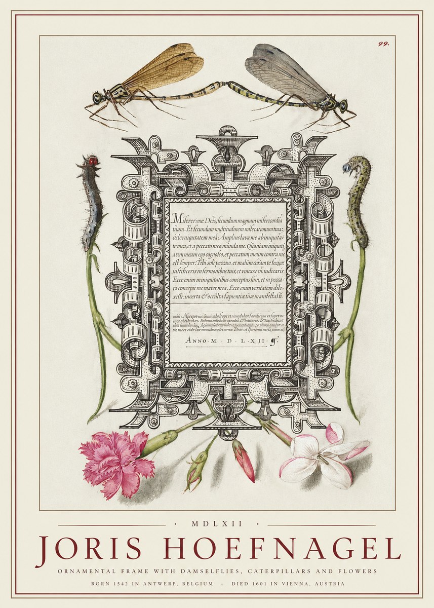 Joris Hoefnagel Ornamental Frame with Damselflies, Caterpillars and Flowers No1 - Poszter