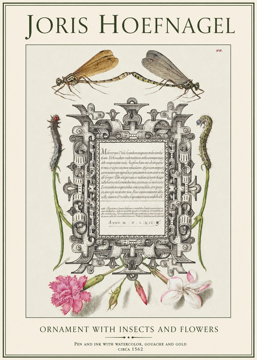 Joris Hoefnagel Ornamental Frame with Damselflies, Caterpillars and Flowers No2 - Poszter