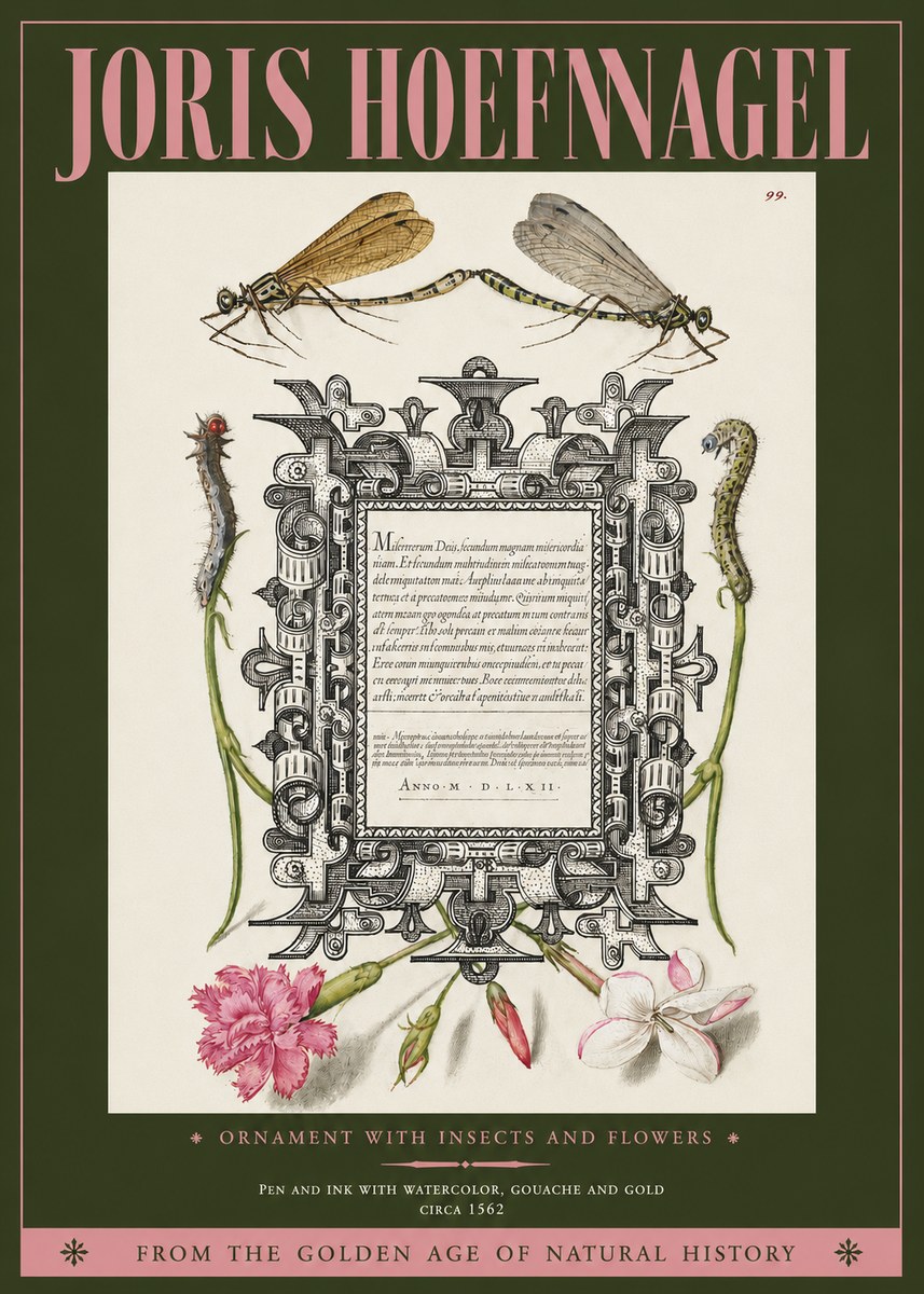 Joris Hoefnagel Ornamental Frame with Damselflies, Caterpillars and Flowers No4 - Poszter
