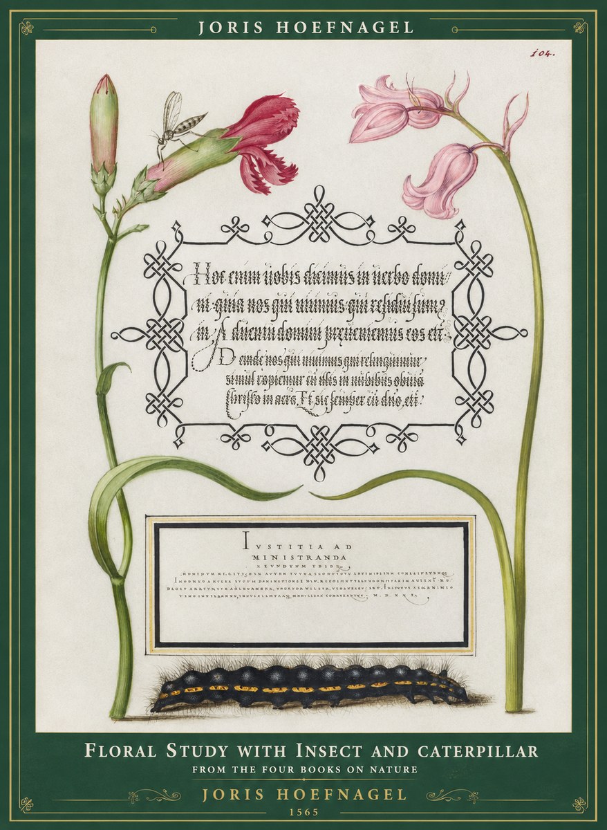 Joris Hoefnagel Floral Study with Insect and Caterpillar No1 - Poszter
