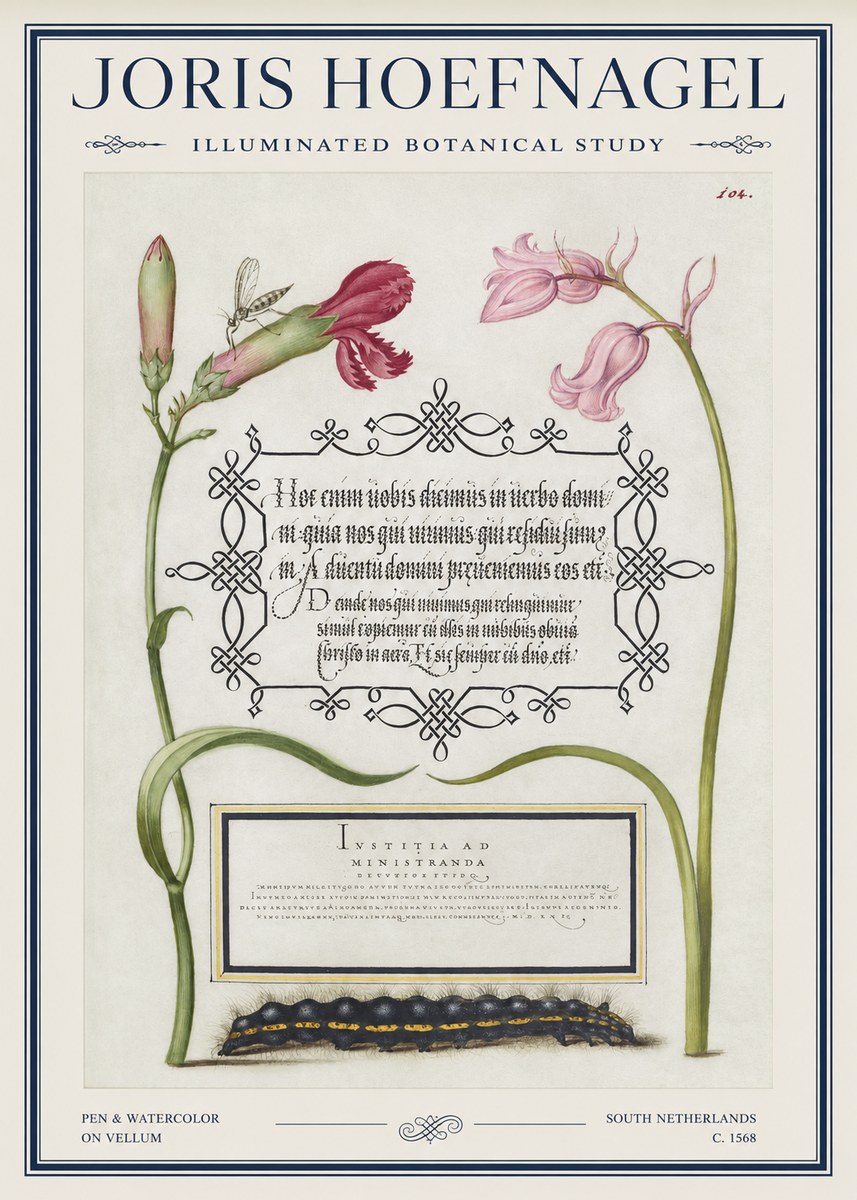 Joris Hoefnagel Floral Study with Insect and Caterpillar No5 - Poszter