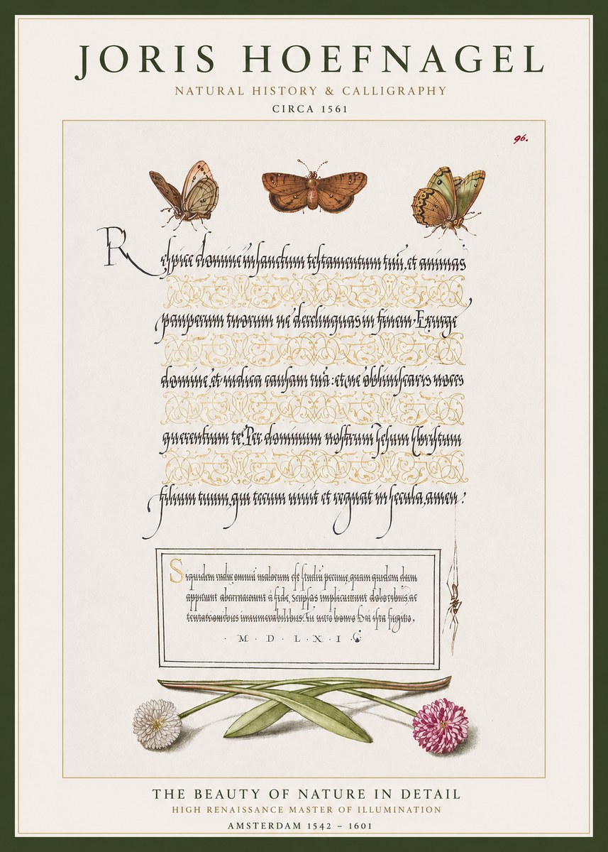 Joris Hoefnagel Butterflies, Flowers and Calligraphy Page No1 - Poszter