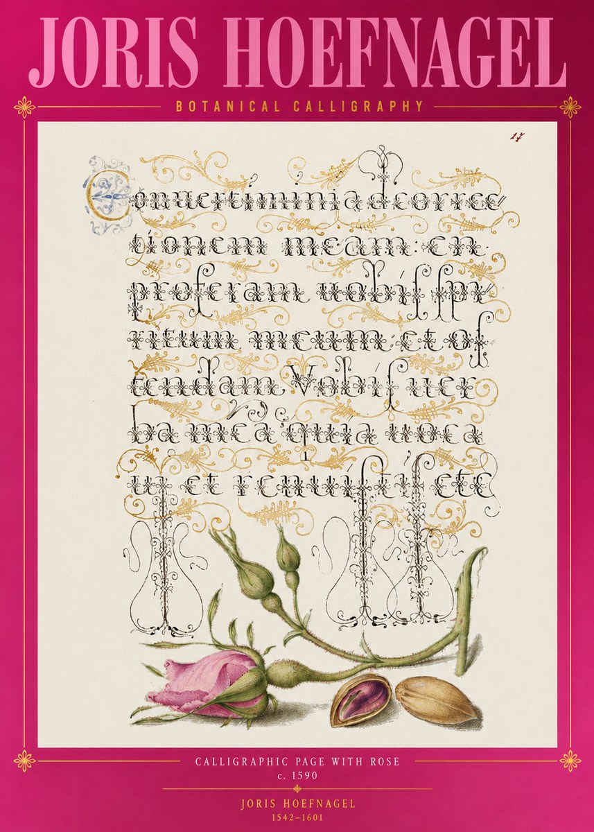 Joris Hoefnagel Calligraphic Page with Rose No2 - Poszter