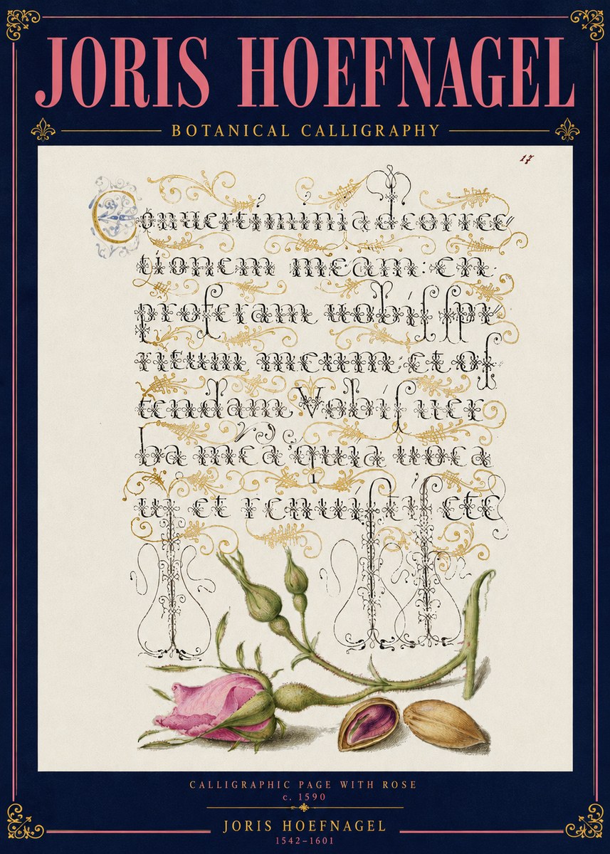 Joris Hoefnagel Calligraphic Page with Rose No4 - Poszter