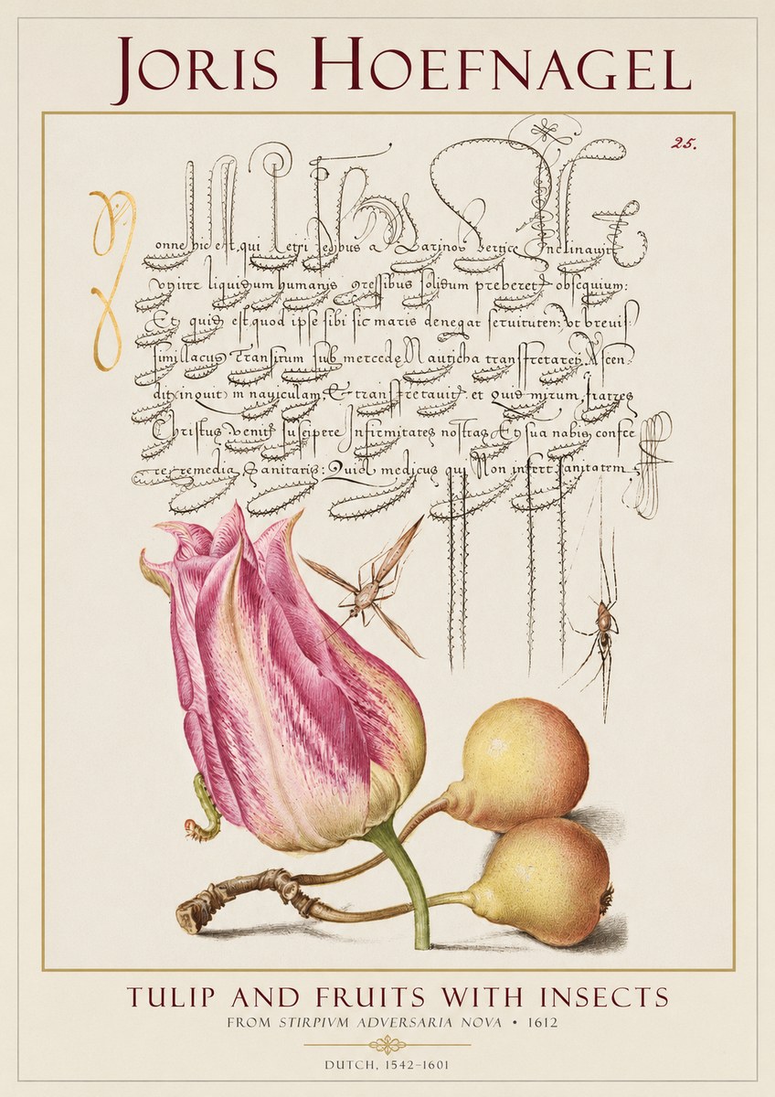 Joris Hoefnagel Tulip and Fruits with Insects No1 - Poszter