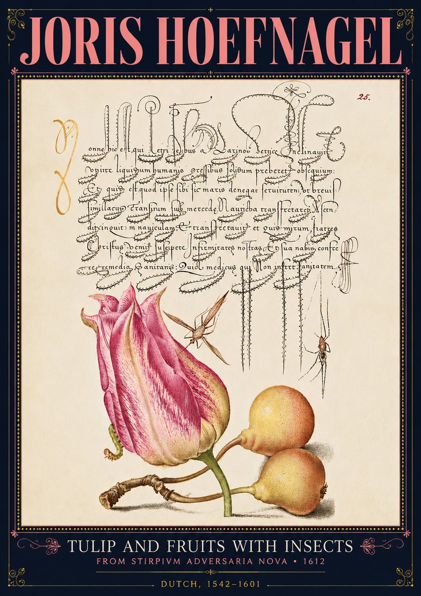 Joris Hoefnagel Tulip and Fruits with Insects No4 - Poszter