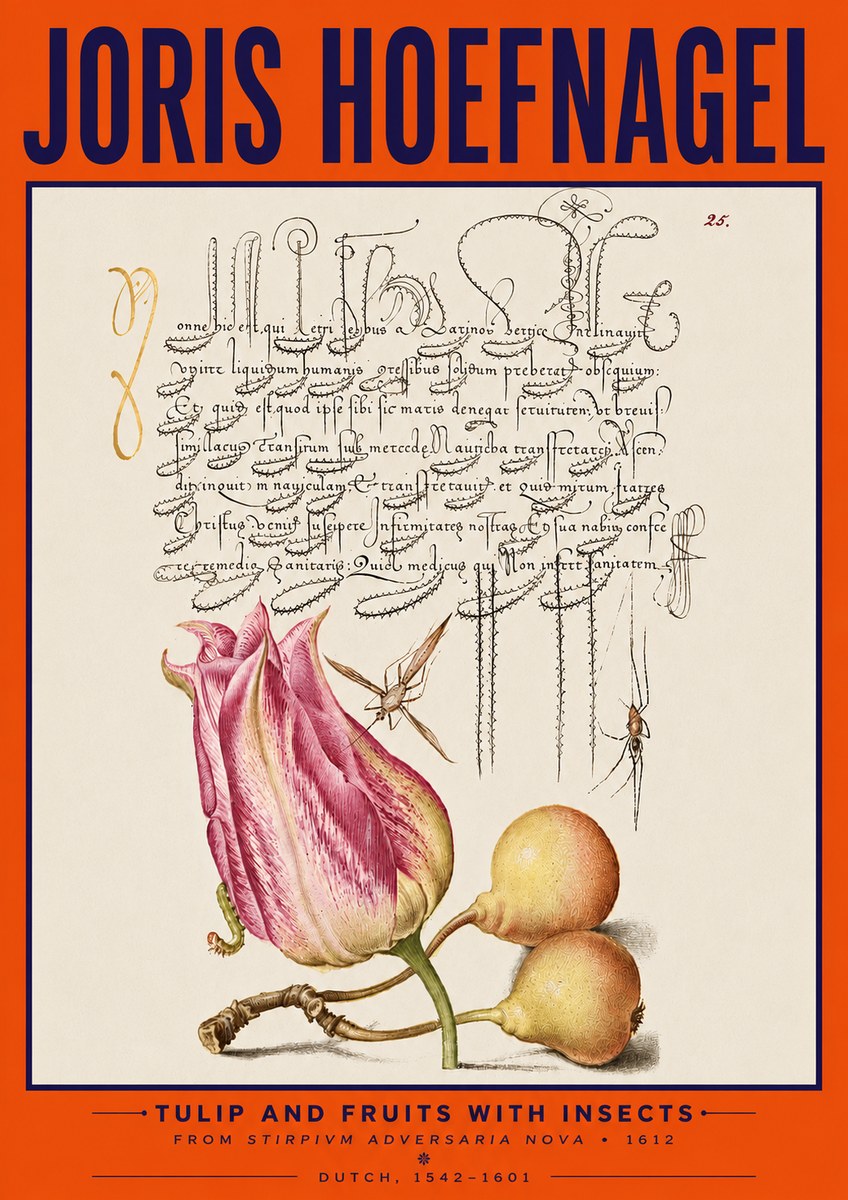 Joris Hoefnagel Tulip and Fruits with Insects No5 - Poszter