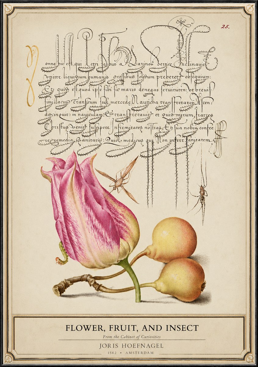 Joris Hoefnagel Tulip and Fruits with Insects No6 - Poszter