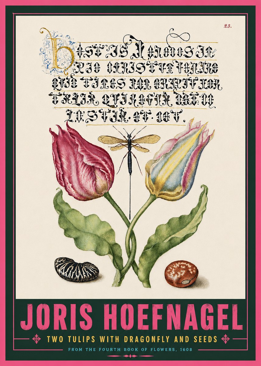 Joris Hoefnagel Two Tulips with Dragonfly and Seeds No5 - Poszter