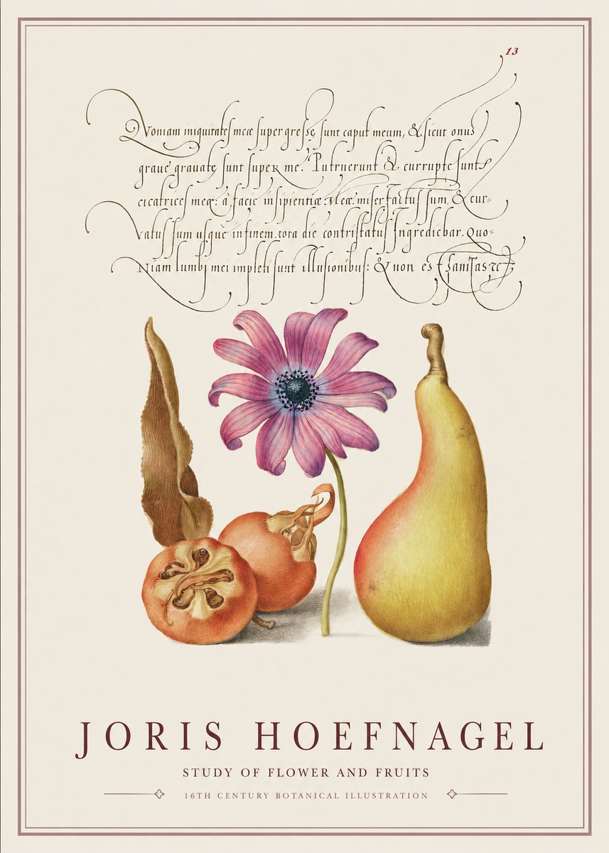 Joris Hoefnagel Study of Flower and Fruits No1 - Poszter