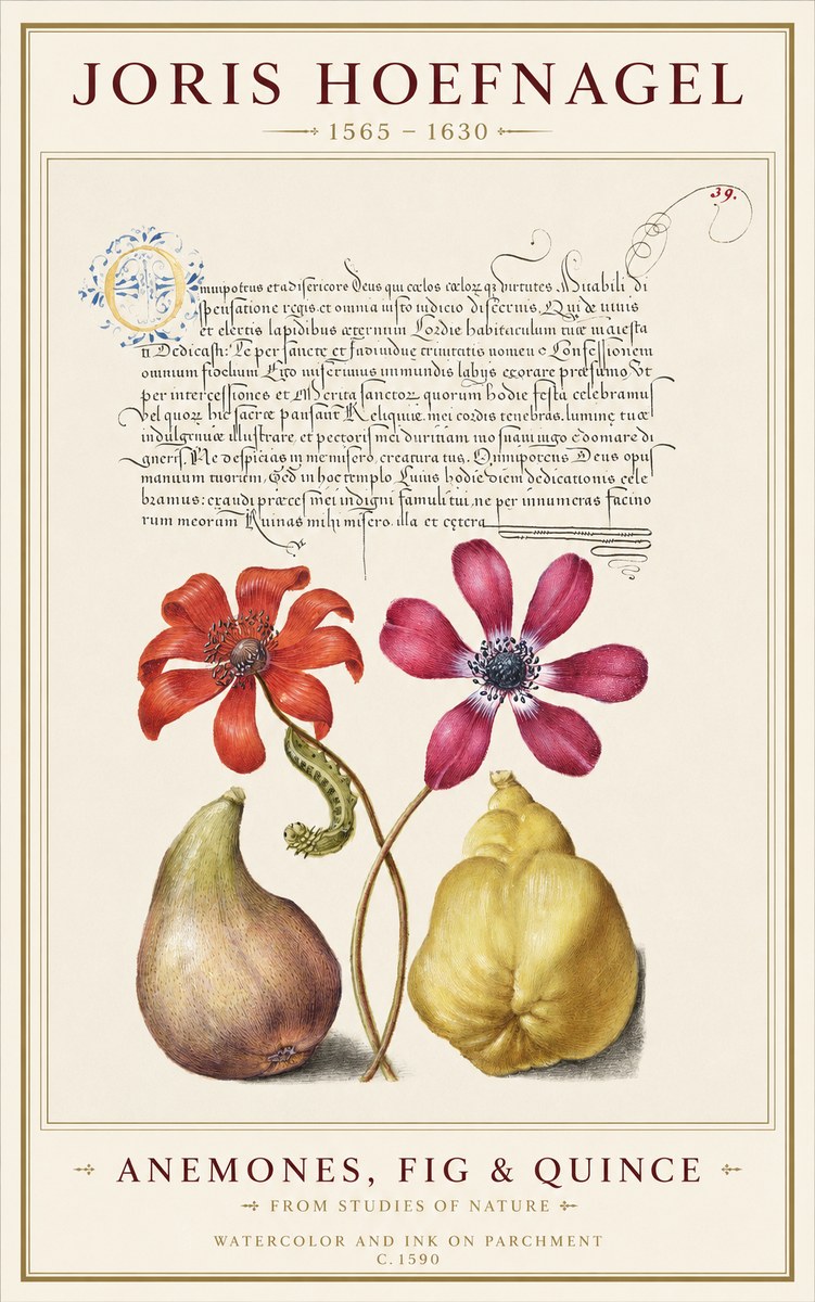 Joris Hoefnagel Flowers and Fruits No2 - Poszter