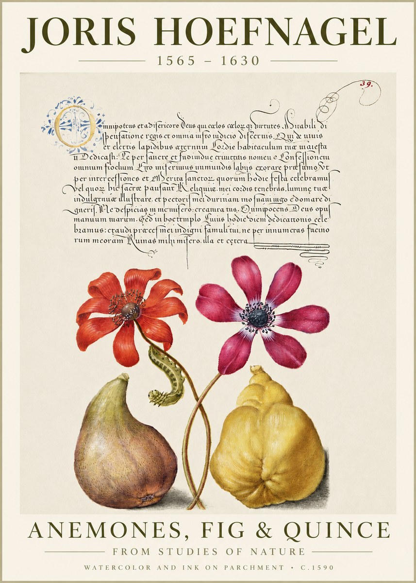 Joris Hoefnagel Flowers and Fruits No6 - Poszter